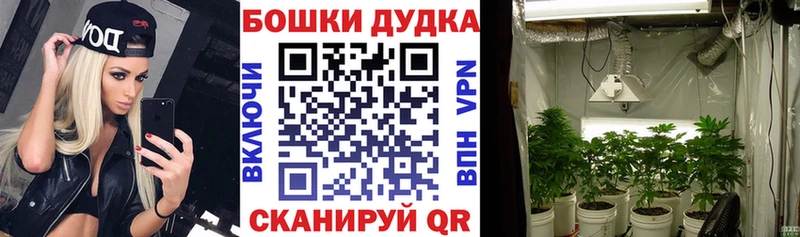 магазин  наркотиков  mega ссылка  Конопля Ganja  Емва 